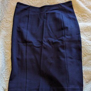 Ann Taylor Navy Skirt - Sz 6